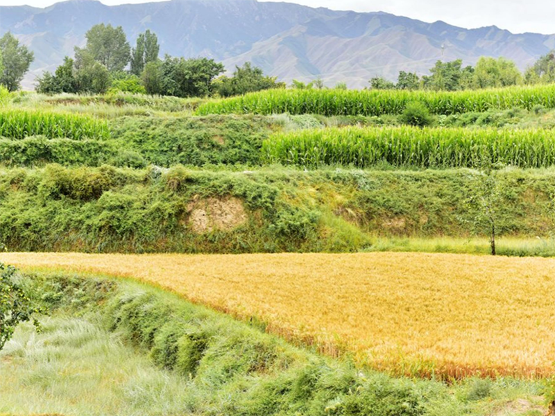 土壤重金屬檢測儀使用方法及步驟（土壤重金屬檢測儀廠家）
